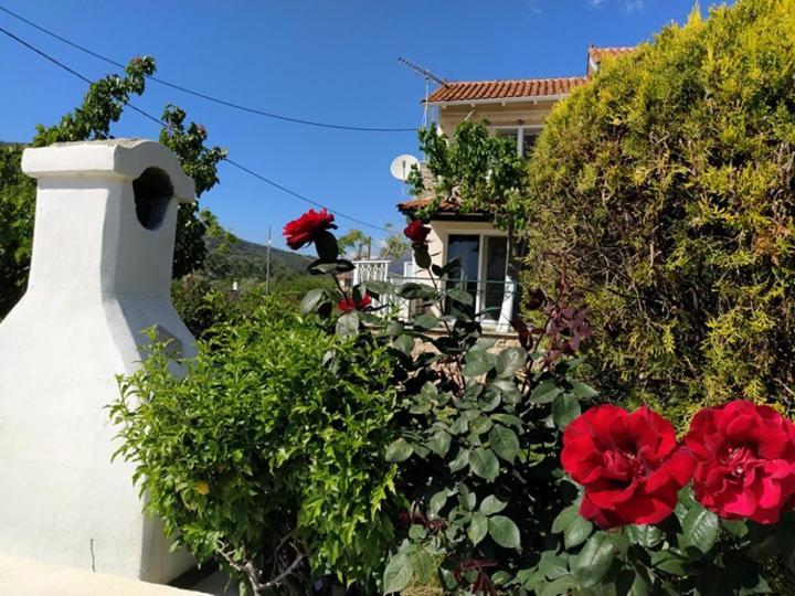 Queen Bay Studios Vasiliki  Exterior photo